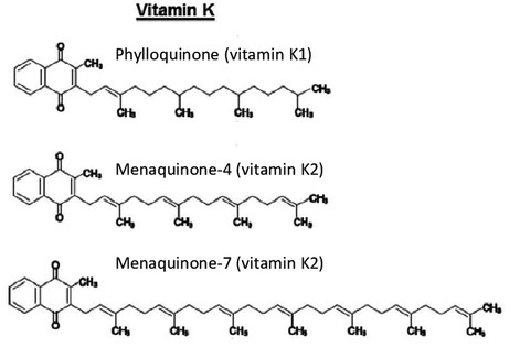 Zdroj: EFSA; https://www.researchgate.net/figure/Chemical-structures-of-vitamin-K-and-metabolites_fig1_317147059