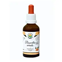 Salvia Paradise Kadidlovník pilovitý (Boswellia) tinktura bez alkoholu, 50 ml