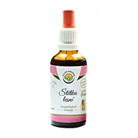 Salvia Paradise Štětka lesní tinktura bez alkoholu, 50 ml