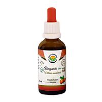 Salvia Paradise – BIO Ashwagandha tinktura bez alkoholu, 50 ml 