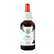 Salvia Paradise –  Chaga (Rezavec šikmý) tinktura bez alkoholu, 50 ml 