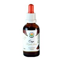 Salvia Paradise –  Chaga (Rezavec šikmý) tinktura bez alkoholu, 50 ml 