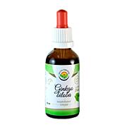 Salvia Paradise – Jinan dvoulaločný, tinktura bez&nbsp;alkoholu, 50 ml 