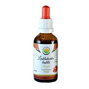 Salvia Paradise – Lesklokorka lesklá (Reishi) tinktura bez alkoholu, 50 ml Salvia Paradise – Lesklokorka lesklá (Reishi) tinktura bez alkoholu, 50 ml