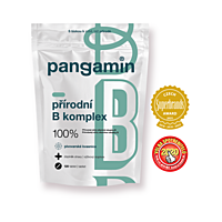 Pangamin přírodní B-komplex, 120 tablet