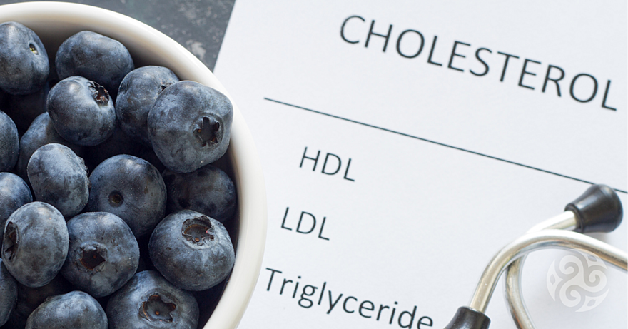 Cholesterol - co to je, jaké jsou normy pro LDL a HDL a jak se projevuje vysoký cholesterol?