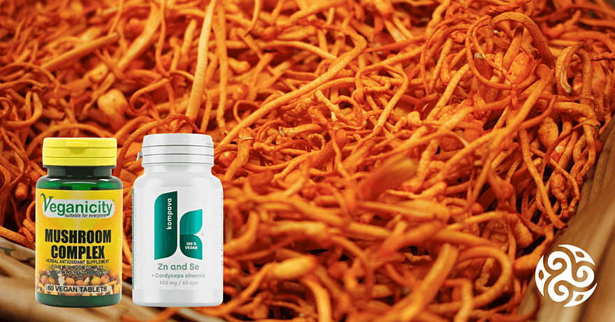 Jak poznat nejlepší cordyceps? + recenze na produkty v článku
