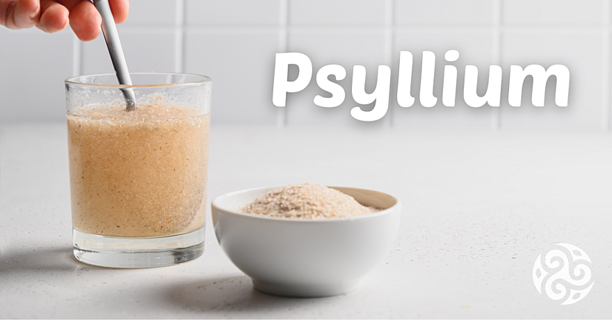 Poznejte psyllium – co to je, na co je dobré a jaké má prospěšné i nežádoucí účinky